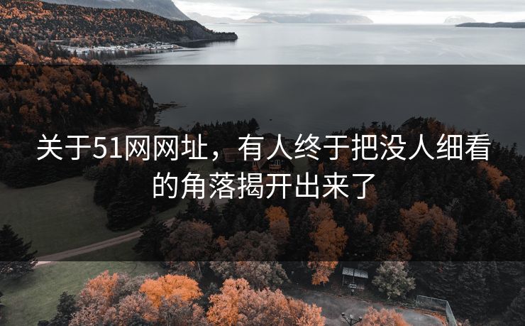 关于51网网址，有人终于把没人细看的角落揭开出来了