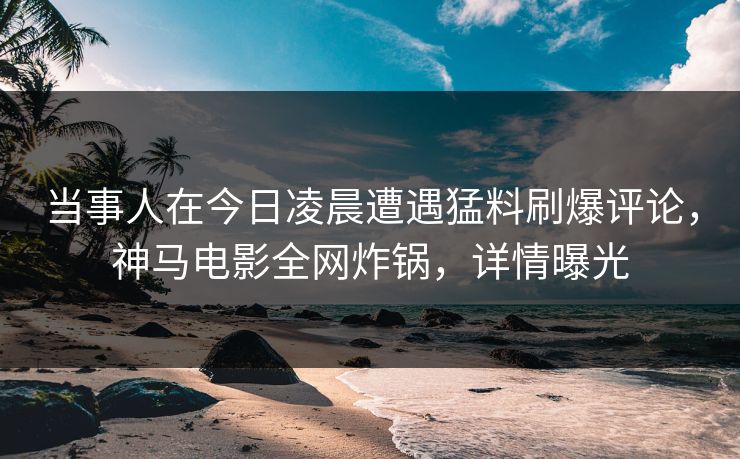 当事人在今日凌晨遭遇猛料刷爆评论，神马电影全网炸锅，详情曝光