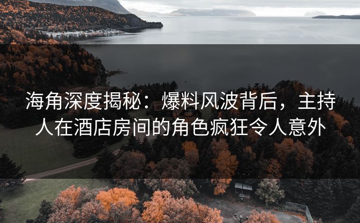 海角深度揭秘：爆料风波背后，主持人在酒店房间的角色疯狂令人意外