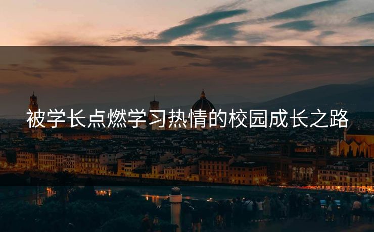 被学长点燃学习热情的校园成长之路