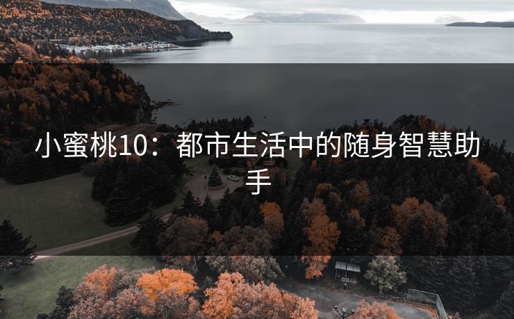 小蜜桃10：都市生活中的随身智慧助手