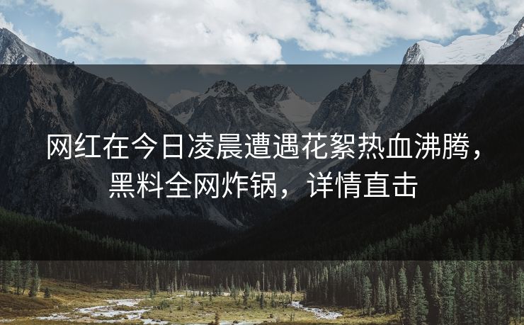 网红在今日凌晨遭遇花絮热血沸腾，黑料全网炸锅，详情直击