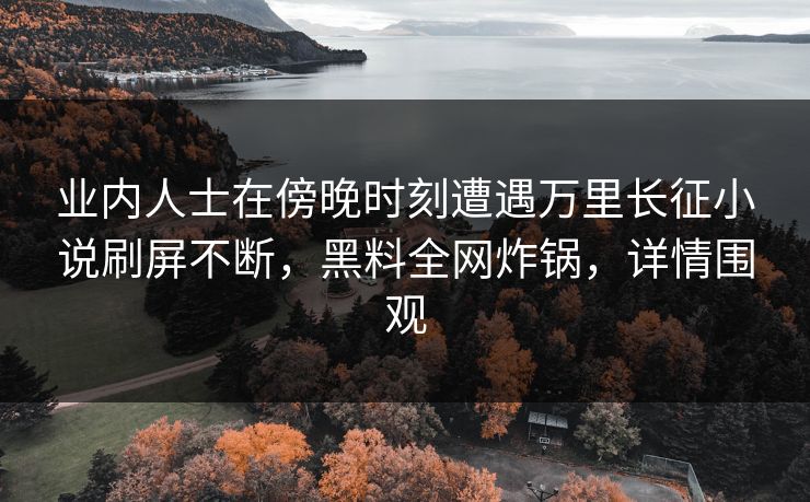 业内人士在傍晚时刻遭遇万里长征小说刷屏不断，黑料全网炸锅，详情围观